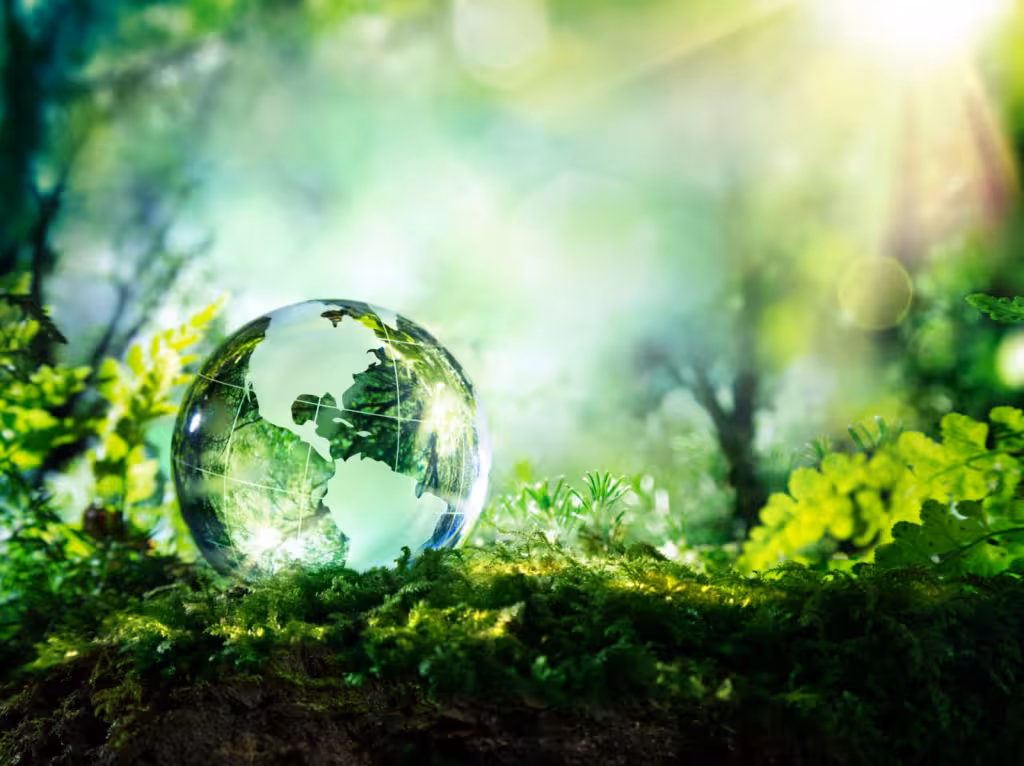 Sustainability, environment and quality
