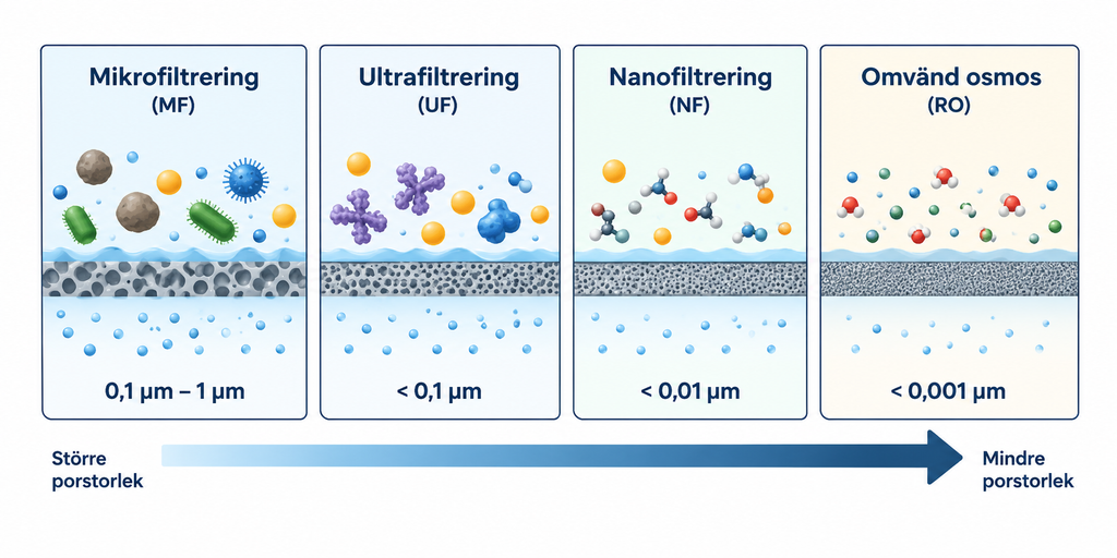 Illustration som jämför fyra typer av membranfiltrering: mikrofiltrering, ultrafiltrering, nanofiltrering och omvänd osmos, från större till mindre porstorlek.