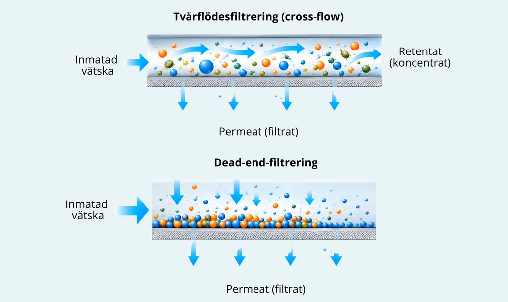 Illustration som visar skillnaden mellan tvärflödesfiltrering och dead-end-filtrering, där vätskan passerar genom membranet på olika sätt. 